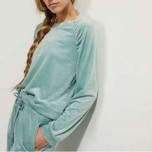 Anthropologie Mint Green Velour Top